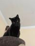 IMG-20220614-WA0000.jpg