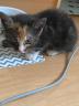 IMG-20200621-WA0010.jpg