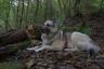 DSC07136-SharpenAI-stabilize.jpg