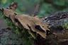 DSC07135-SharpenAI-stabilize.jpg