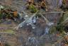 DSC07641.jpg