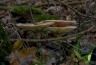 DSC07635_01.jpg