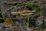 DSC07634.jpg