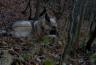 DSC07631.jpg