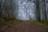 DSC08139.jpg