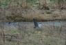 DSC09815.jpg