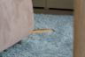 DSC00353.jpg