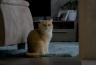 DSC00351.jpg
