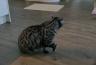 DSC00346.jpg