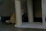 DSC00343.jpg