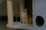 DSC00339.jpg