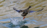 2024-03-07_10-55.png
