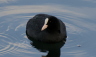 2024-03-07_11-03.png