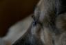 DSC01070.jpg