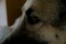 DSC01069.jpg