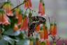 DSC01115.jpg