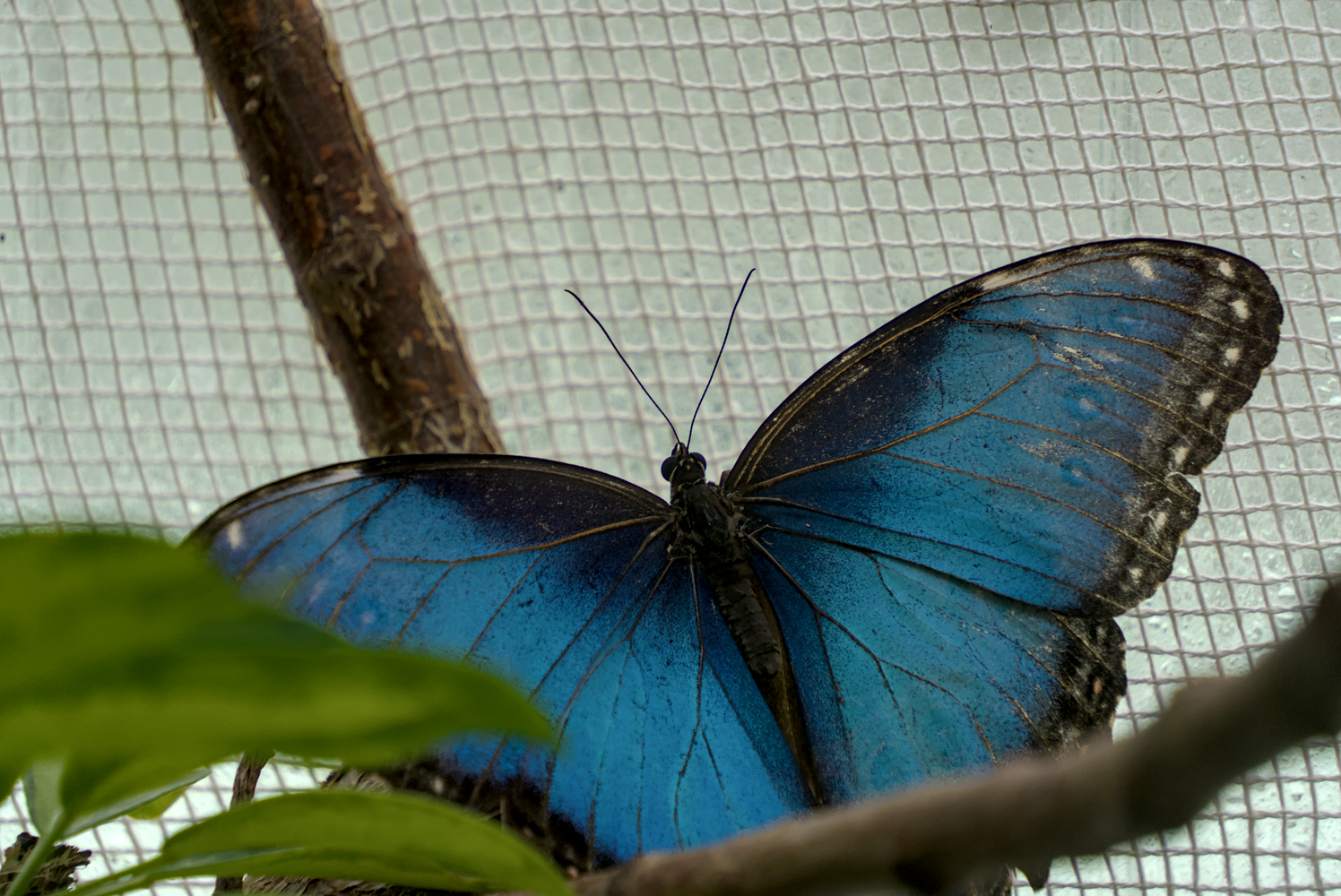 DSC02670.webp