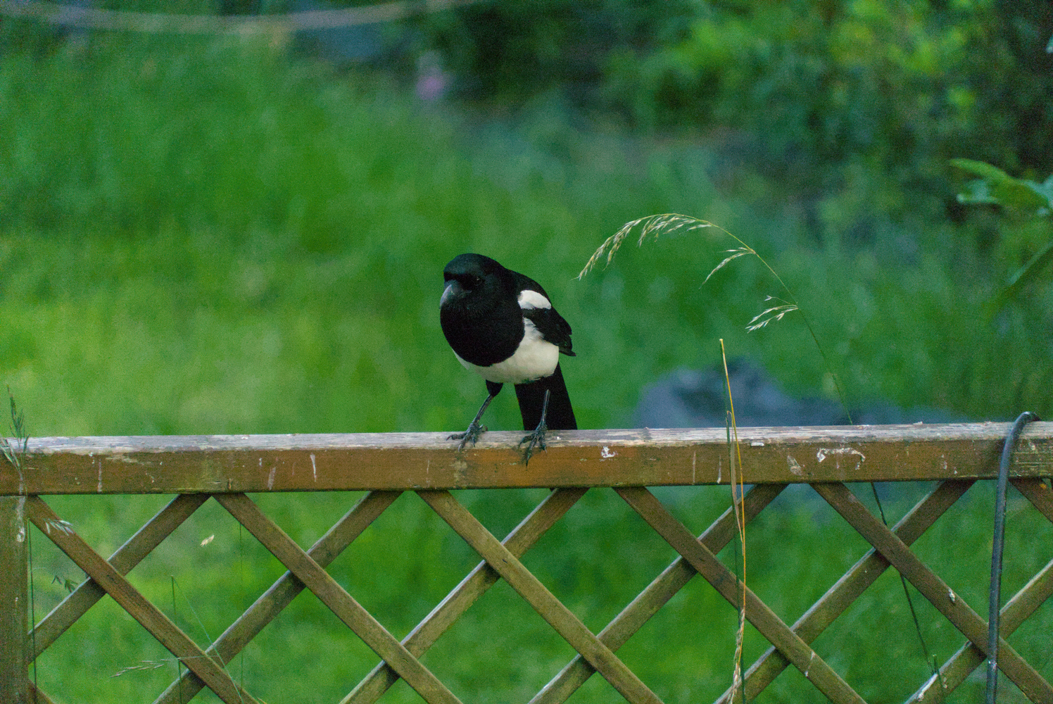 DSC03188_01.webp