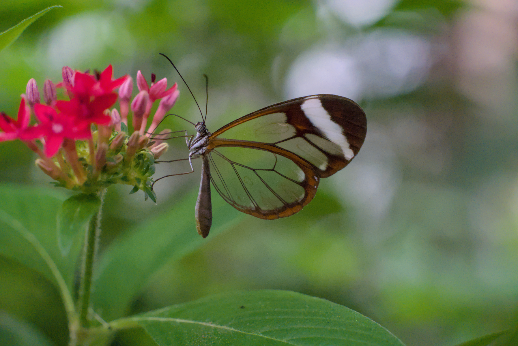 DSC04596.webp