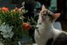 DSC02608.jpg