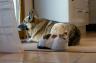 DSC02693.jpg