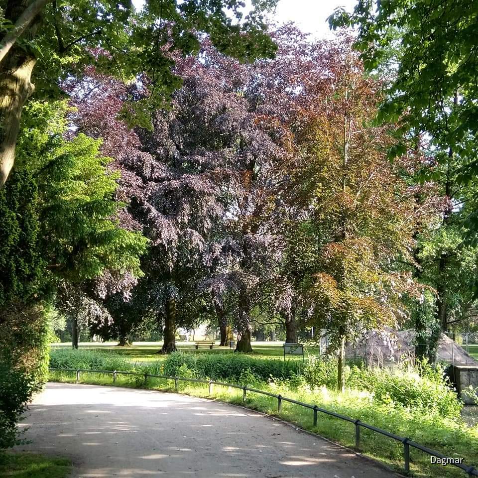 Schlosspark Moers
